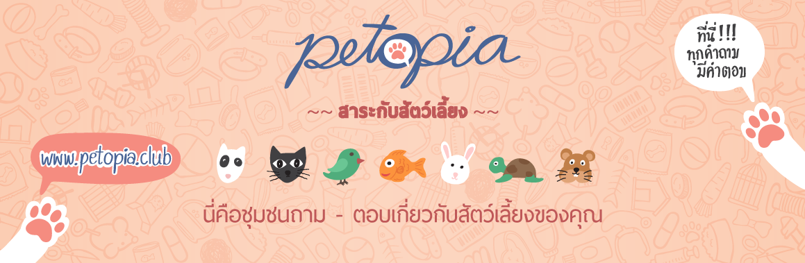 Petopia