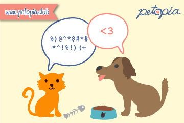ถาม-ตอบ ปัญหา